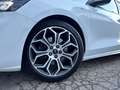 Ford Focus Traveller 1.0 ST-Line Weiß - thumbnail 21