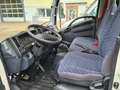 Isuzu N-Serie 150 PS RS 2750 Kipper Klima AHK Blanc - thumbnail 8
