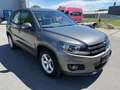 Volkswagen Tiguan Tiguan 2,0 TDI SCR Parkpilot PDC Grau - thumbnail 4