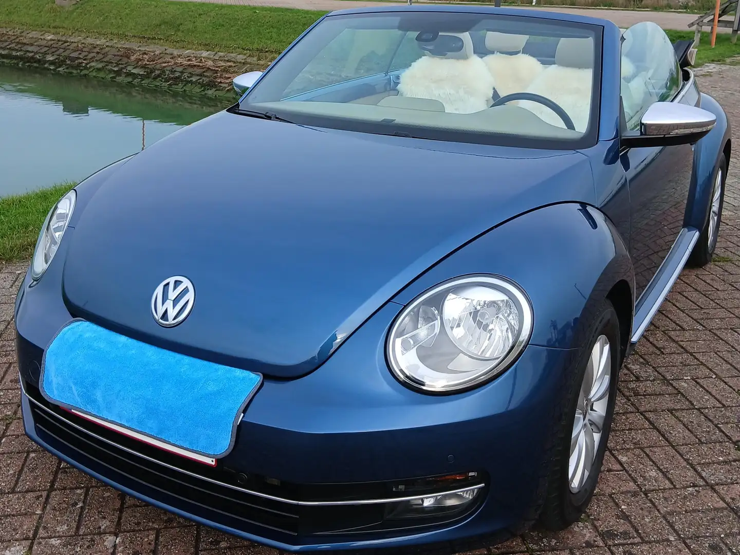Volkswagen Beetle Beetle Cabriolet 1.2 TSI Design BMT Bleu - 1