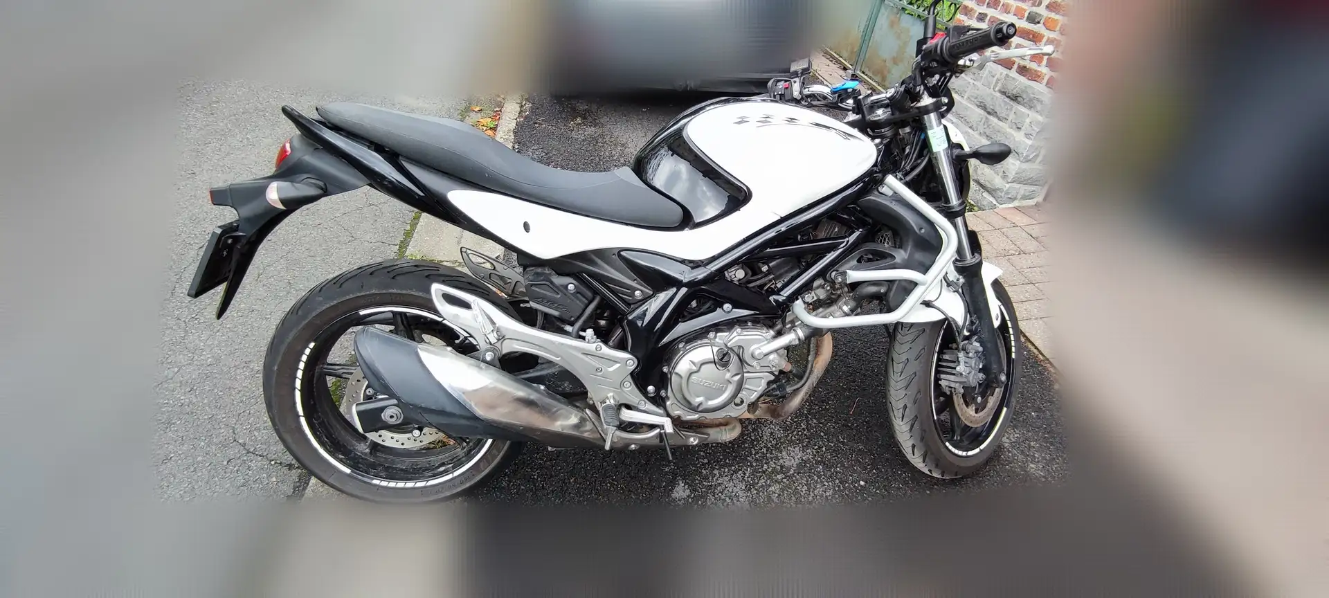 Suzuki Gladius 650 Blanco - 1