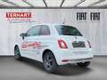 Fiat 500 DolceVita 1.0 Mild Hybrid/Panoramadach/PDC/Apple&A Weiß - thumbnail 4