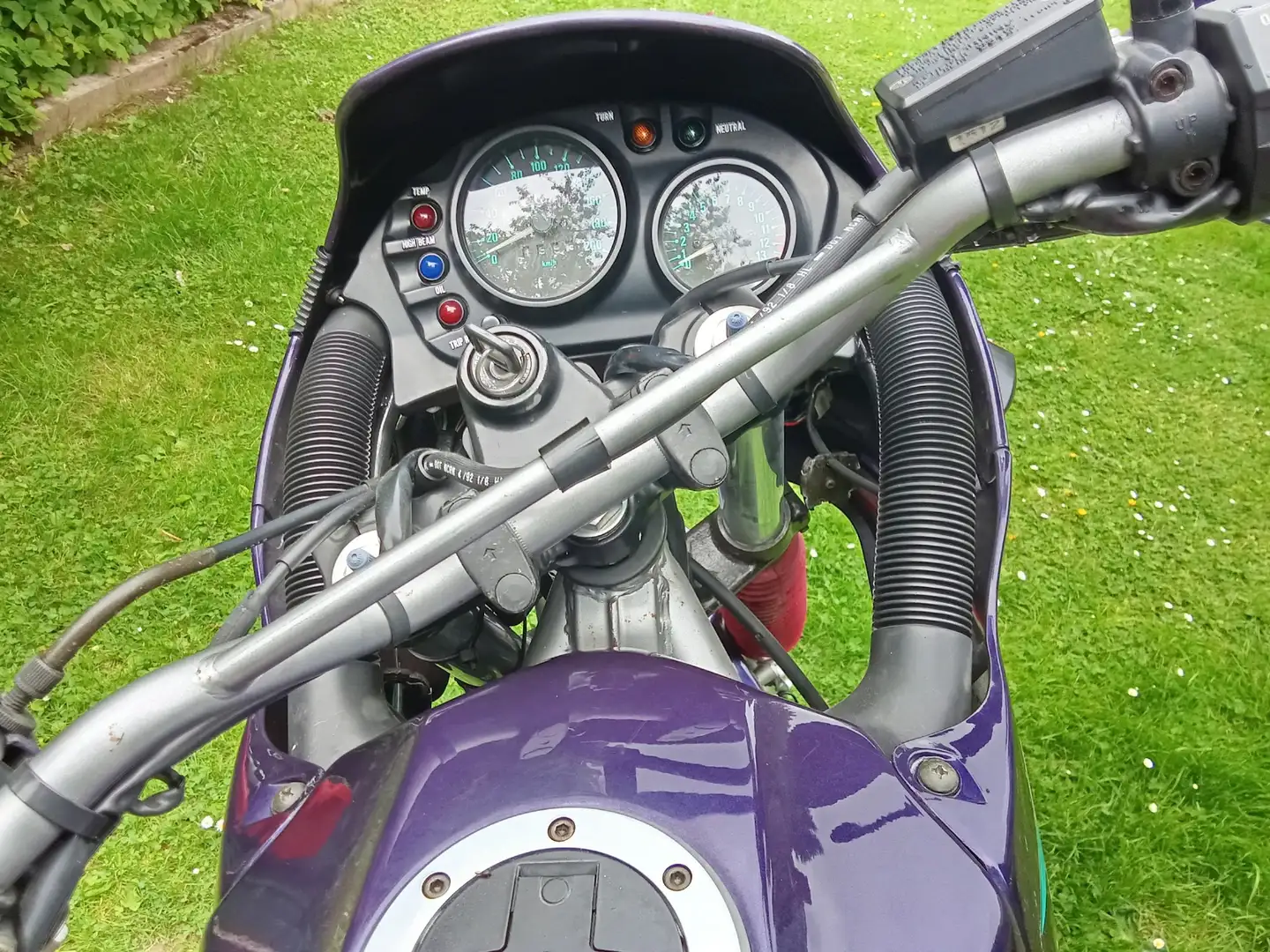 Kawasaki KLE 500 Mauve - 1