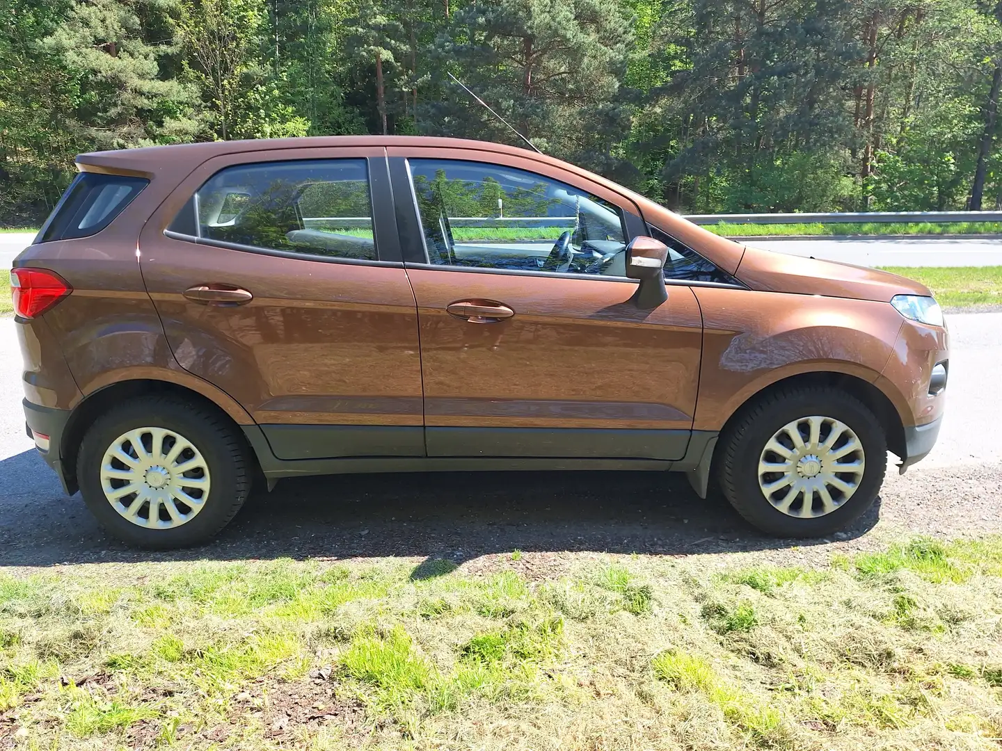 Ford EcoSport 1.5 TDCi S Brown - 2