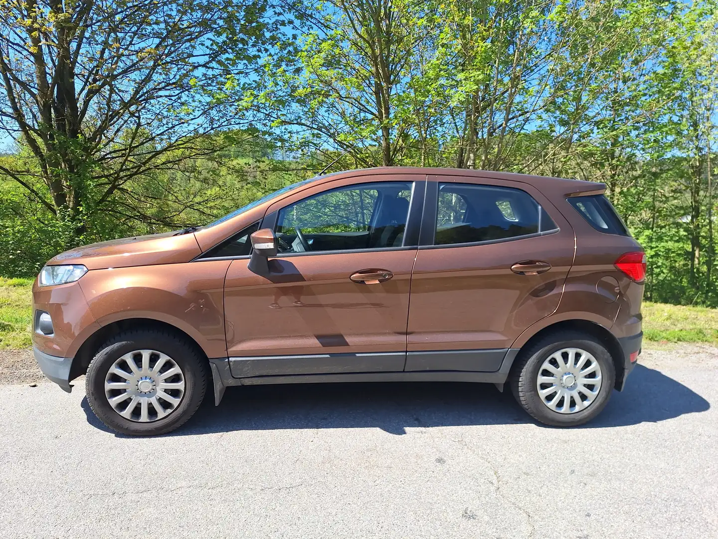 Ford EcoSport 1.5 TDCi S Braun - 2