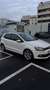 Volkswagen Polo GTI 1.4 DSG - thumbnail 2