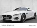 Jaguar F-Type 5.0 L V8 R-Dynamic MATRIX Blanc - thumbnail 1