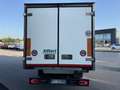 Iveco Daily 60C15FrigoFNAX-20°CATP12 274000x2105x1900kg2560 Blanco - thumbnail 6