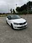 Skoda Fabia 1.0 mpi Twin Color Design Edition Nero 60cv - thumbnail 3