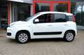 Fiat Panda 0.9 TwinAir Lounge|Airco|5 deurs Wit - thumbnail 19
