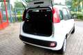 Fiat Panda 0.9 TwinAir Lounge|Airco|5 deurs Wit - thumbnail 10