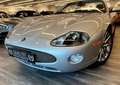 Jaguar XKR XK/R Cabrio  Neuwertig von Sammler an Sammler Silber - thumbnail 10