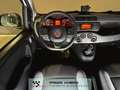 Fiat Panda 1.0 hybrid NEOPATENTATI PRONTA CONSEGNA Alb - thumbnail 11