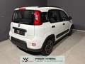 Fiat Panda 1.0 hybrid NEOPATENTATI PRONTA CONSEGNA Alb - thumbnail 4