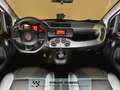 Fiat Panda 1.0 hybrid NEOPATENTATI PRONTA CONSEGNA Alb - thumbnail 10