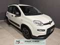 Fiat Panda 1.0 hybrid NEOPATENTATI PRONTA CONSEGNA Alb - thumbnail 3