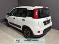 Fiat Panda 1.0 hybrid NEOPATENTATI PRONTA CONSEGNA Alb - thumbnail 6