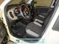 Fiat Panda 1.0 hybrid NEOPATENTATI PRONTA CONSEGNA Alb - thumbnail 7