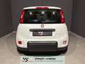 Fiat Panda 1.0 hybrid NEOPATENTATI PRONTA CONSEGNA Alb - thumbnail 5