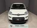 Fiat Panda 1.0 hybrid NEOPATENTATI PRONTA CONSEGNA Alb - thumbnail 2