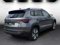 Skoda Karoq Selection 2.0 TDI DSG Grau - thumbnail 4