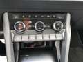 Skoda Karoq Selection 2.0 TDI DSG Grau - thumbnail 13