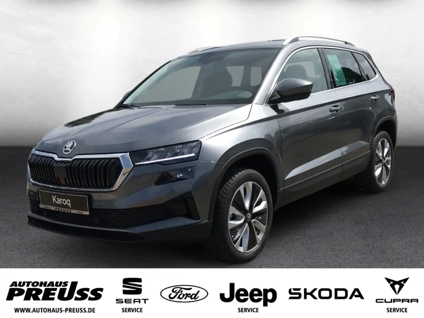 Skoda Karoq Selection 2.0 TDI DSG Grau - 1
