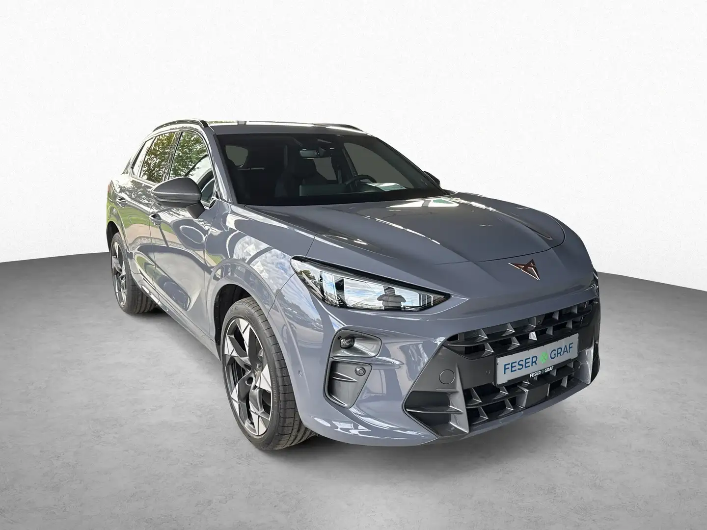 CUPRA Terramar 2.0 TSI 195 kW 4Drive VZ Gris - 2