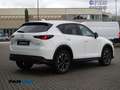 Mazda CX-5 2.2 Signature 2wd 150cv auto Bianco - thumbnail 7
