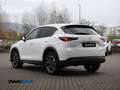Mazda CX-5 2.2 Signature 2wd 150cv auto Bianco - thumbnail 5