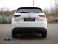 Mazda CX-5 2.2 Signature 2wd 150cv auto Bianco - thumbnail 6