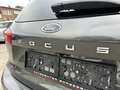 Ford Focus 1.5 EcoBlue - 120 PK Grey - thumbnail 9