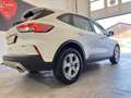 Ford Kuga ec FHEV HEV Hybrid 190 PS, 5-türig, CVT 1g Weiß - thumbnail 35