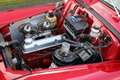 Volvo PV544 Sport - Recently Restored Rojo - thumbnail 5