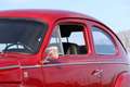 Volvo PV544 Sport - Recently Restored Rojo - thumbnail 46