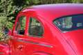 Volvo PV544 Sport - Recently Restored Rojo - thumbnail 13