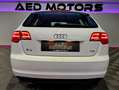 Audi A3 1.6 TDI Attraction Weiß - thumbnail 23