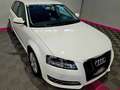 Audi A3 1.6 TDI Attraction Weiß - thumbnail 19