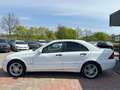 Mercedes-Benz C 270 CDI*AHK*KLIMA*LEDER*17ALU* Weiß - thumbnail 6