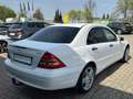 Mercedes-Benz C 270 CDI*AHK*KLIMA*LEDER*17ALU* Weiß - thumbnail 3