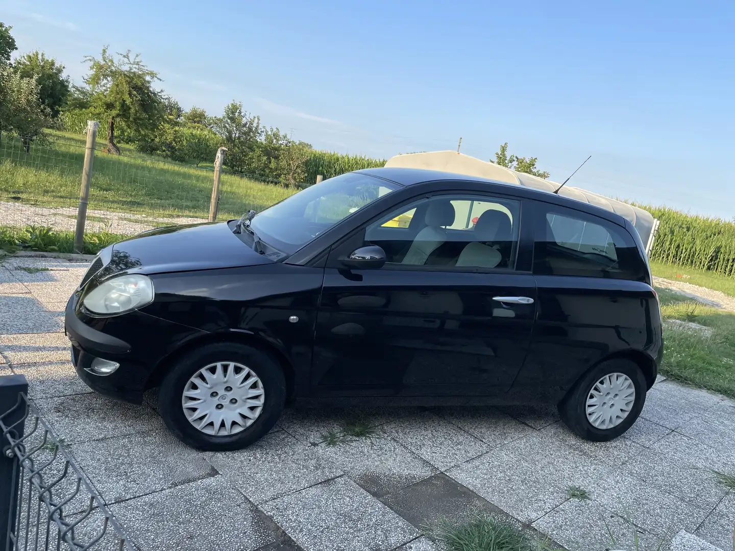 Lancia Ypsilon 1.2 16v Momo Design - 2