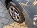 Ford Focus Focus SW Business 1.5 ecoblue 120cv Blauw - thumbnail 8