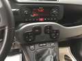 Fiat Panda Panda 0.9 t.air t. Wild 4x4 s X NEOPATENTATI Bianco - thumbnail 14