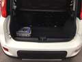 Fiat Panda Panda 0.9 t.air t. Wild 4x4 s X NEOPATENTATI Bianco - thumbnail 7