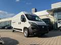 Fiat Ducato Kasten L4H2 35 140 *Navi 260 Kamera AHK* Weiß - thumbnail 5