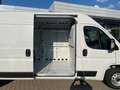 Fiat Ducato Kasten L4H2 35 140 *Navi 260 Kamera AHK* Weiß - thumbnail 12