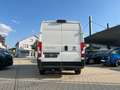 Fiat Ducato Kasten L4H2 35 140 *Navi 260 Kamera AHK* Weiß - thumbnail 3