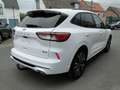 Ford Kuga Kuga 2.5 Duratec PHEV ST-LINE X Wit - thumbnail 6