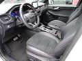 Ford Kuga Kuga 2.5 Duratec PHEV ST-LINE X Wit - thumbnail 12