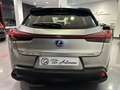 Lexus UX 250h Executive Navigation 2WD Gris - thumbnail 5